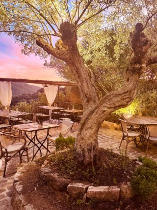Sous l’ombre d’un olivier, le soleil se couche et la Corse s’illumine…
Un instant suspendu à partager. 🌅✨

À l’auberge U Sirenu, chaque dîner est une parenthèse hors du temps, entre authenticité et douceur de vivre.
Venez partager un moment unique au cœur de la nature 💫

#USirenu #AubergeEnCorse #Sartène #Authenticité #CuisineCorse #CoucherDeSoleil #restauranttraditionnelcorse #restaurantcorse #lacorsedesorigines #viaghjaincorsica